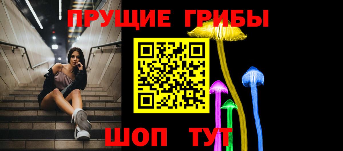 Псилоцибиновые грибы Psilocybe  Вход с VPN  Электрогорск 
