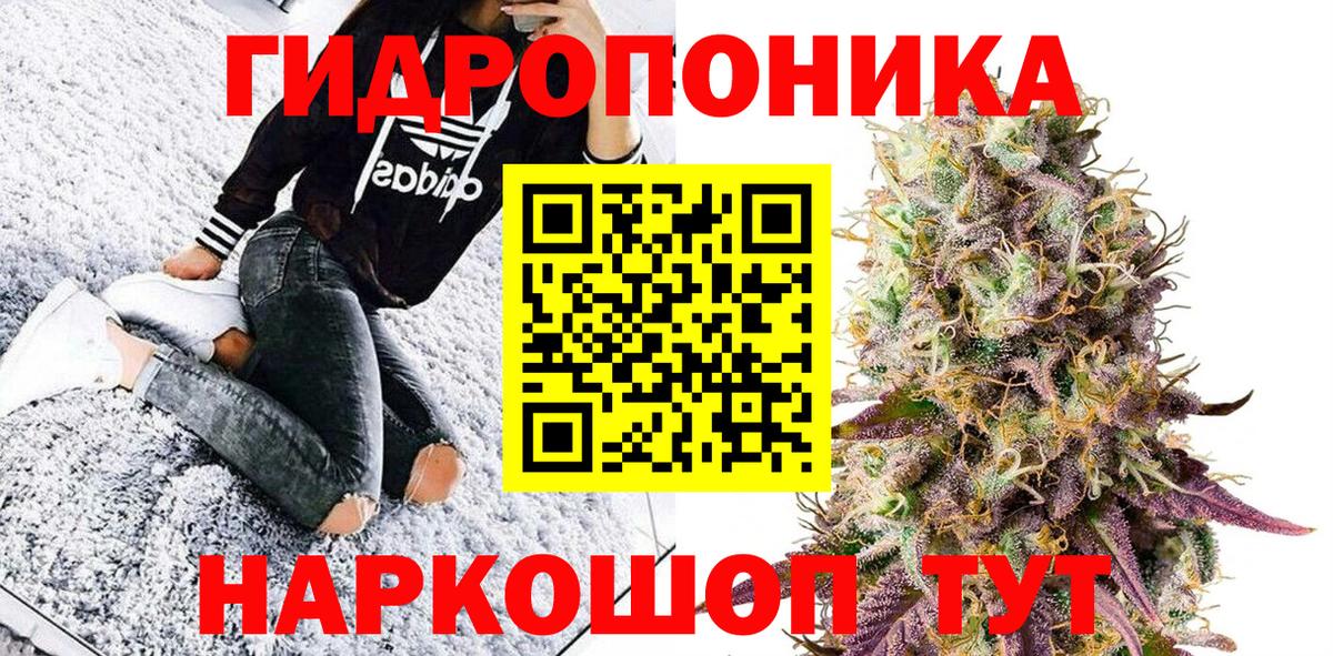 Электрогорск  Каннабис индика  МАРИХУАНА индика  Вход с VPN  Бошки марихуана White Widow 